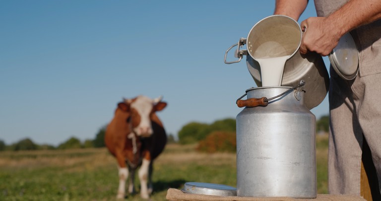 Megállíthatatlanul nő a tejtermékek ára: ez áll valójában a drágulás hátterében