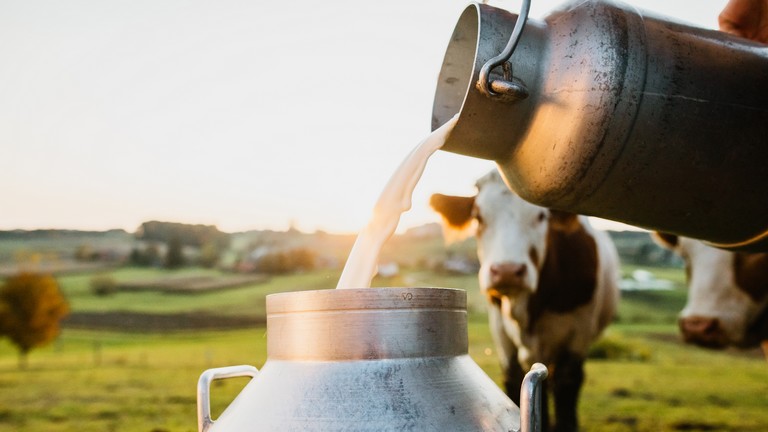 Őrület: ennyit változott a tejtermékek ára egy év alatt Magyarországon 