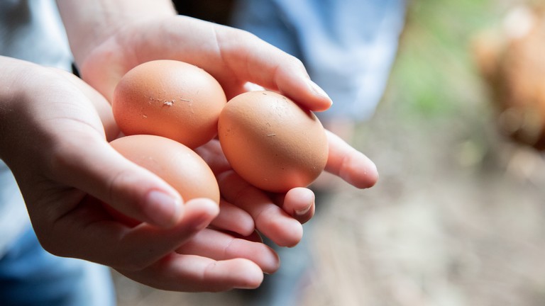 Komoly változás jöhet a boltokban: hamarosan ilyen jelölés lesz a tojásokon?