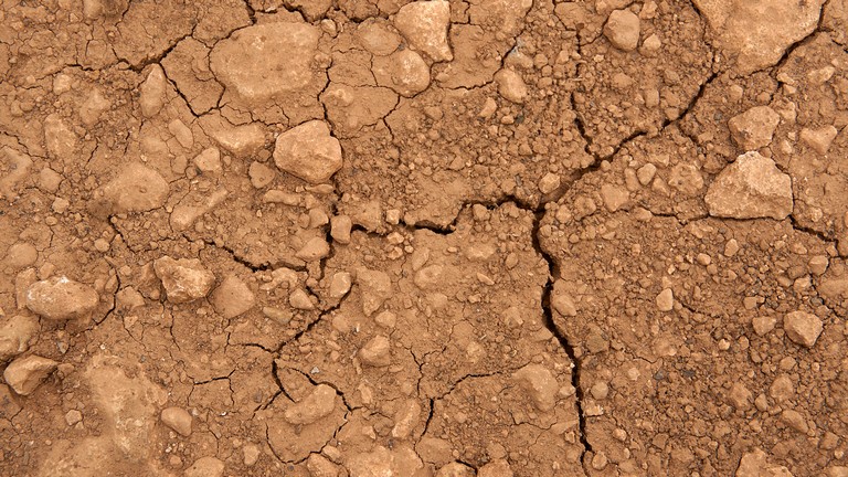 Pusztító szárazság tombol az Alföldön: itt már lehet, az öntözés sem segít