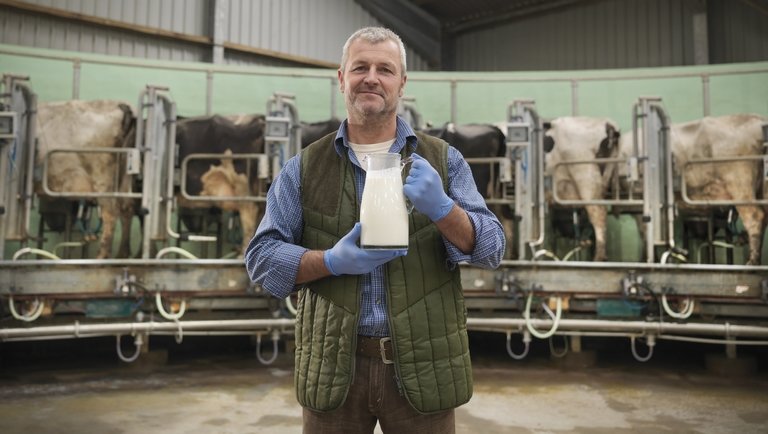 Őrült tempóban fogynak a tejesek: százával veszítik el a termelőiket a feldolgozók