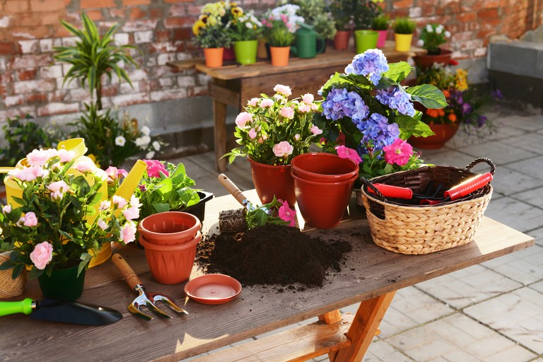 Filléres trükkök a kert felturbózásához: ezekkel vagyonokat spórolhatsz