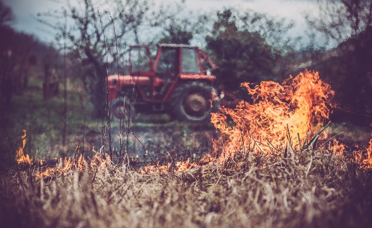 Kritikus a helyzet a magyar földeken a forróság miatt: ezt minden gazdának tudnia kell