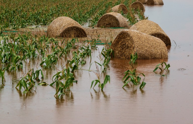 Vészjósló időszak várhat az emberiségre: a mezőgazdaság lehet a megoldás kulcsa