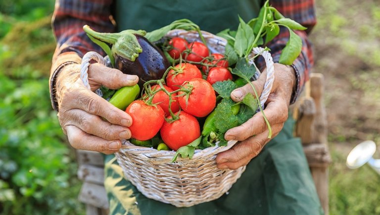 Lázadoznak a spanyol zöldségtermelők a kereskedők kapzsisága miatt 