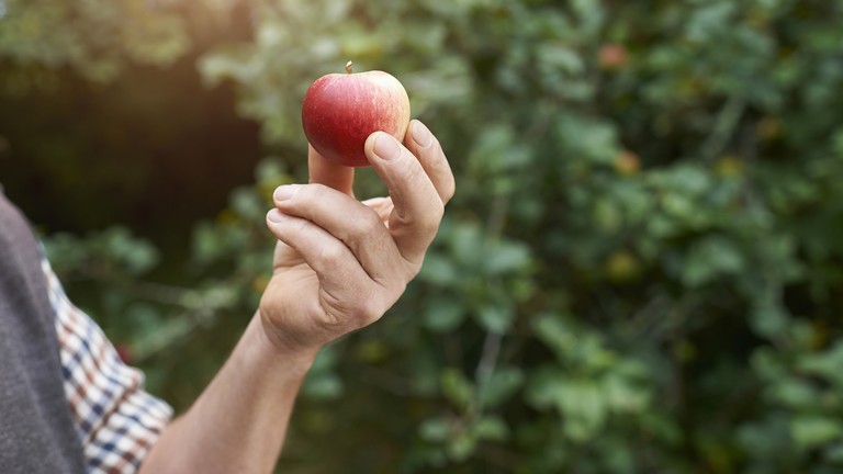 Alapjaiban változhat meg a gyümölcstermelés Svájcban: ez sok mindent felforgathat