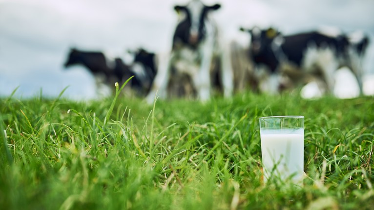 Lejárt a hagyományos tejek ideje? Új magyar szuperélelmiszerek lephetik el a boltokat