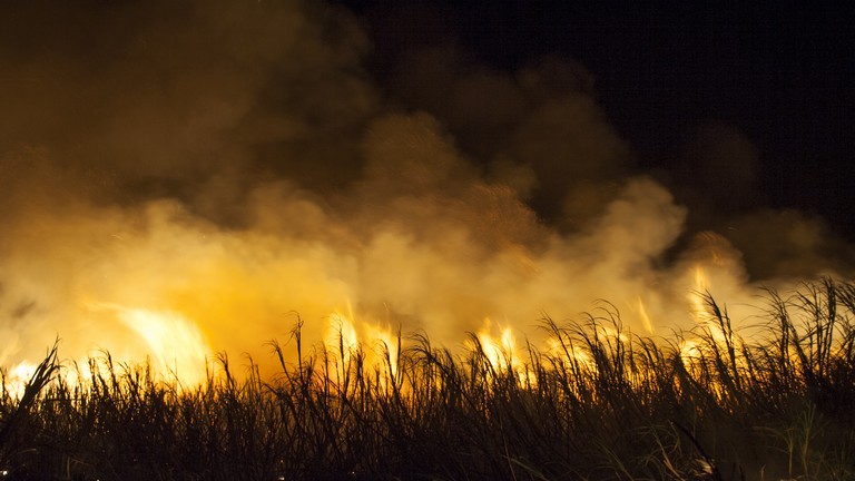 Hatalmas tűz pusztított az Alföldön: óriási a kár, több hektár gabona égett le