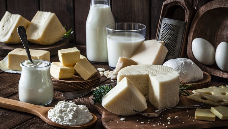 Mennyi tejet tudunk feldolgozni hirtelen sajttá?