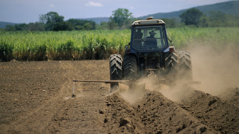 Tuti tipp, ami tényleg működik: így turbózzák fel a talajt az élelmes gazdák