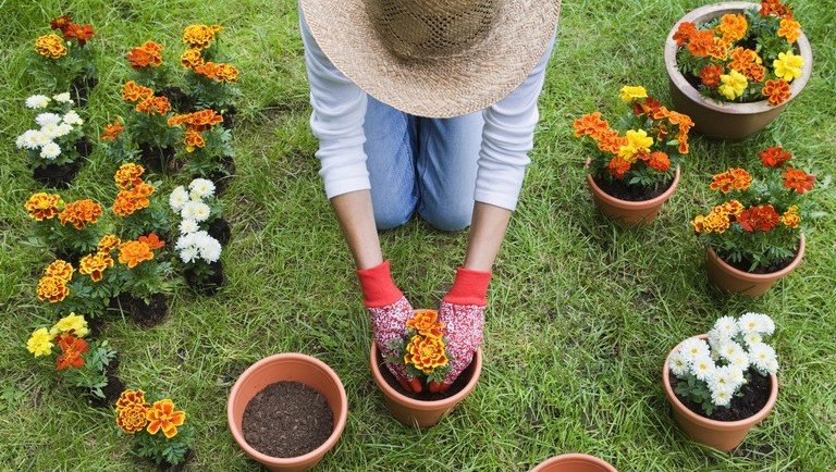 18 trükk, amit minden kertésznek ismernie kell: tuti tippek nem csak kezdőknek