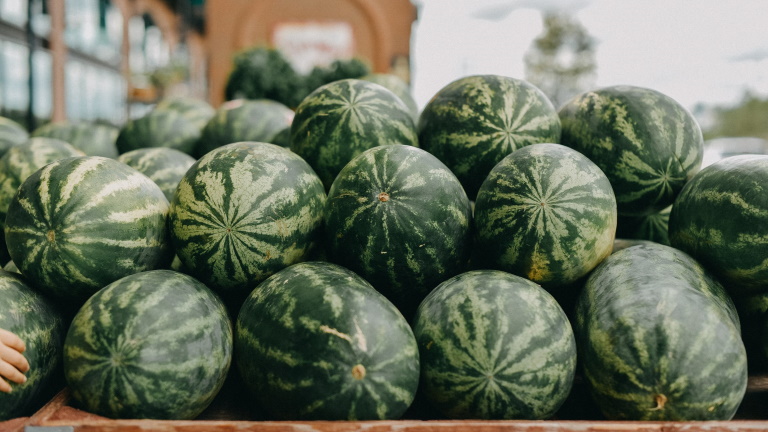 Kiváló a magyar görögdinnye, de idén már nem lesz olcsóbb: ezért kerül ennyibe