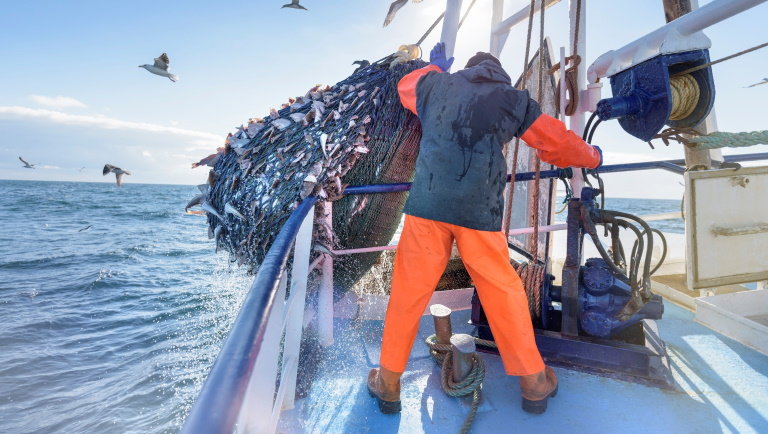 Brexit: elbukhat a megállapodás a halászat miatt