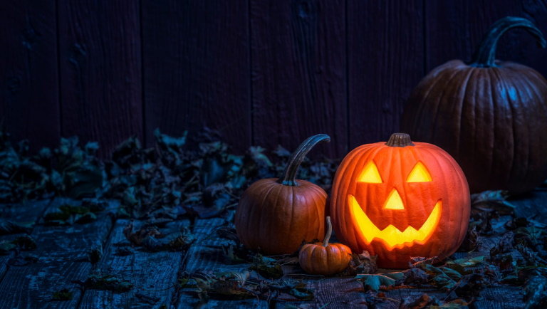 Különleges programok várják a látogatókat a Budakeszi Vadasparkban Halloweenkor