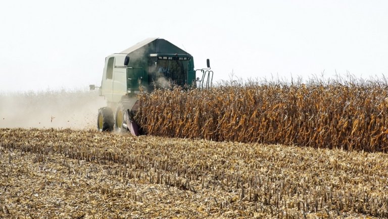 Újabb akadályok hátráltatják az őszi munkákat: nem kíméli az időjárás a gazdákat