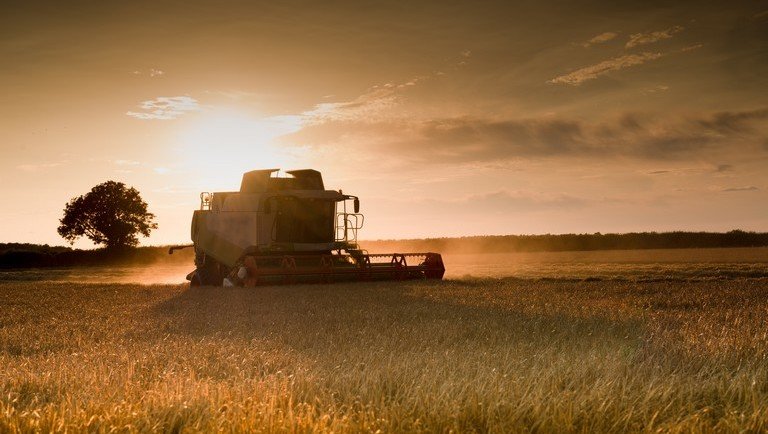 Hét éve megállíthatatlanul nőnek az árak a magyar mezőgazdaságban