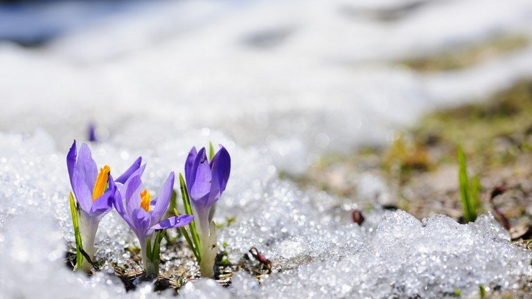 Szibériai hideggel indul a tavasz: akár mínusz 10 fok is lehet jövő héten