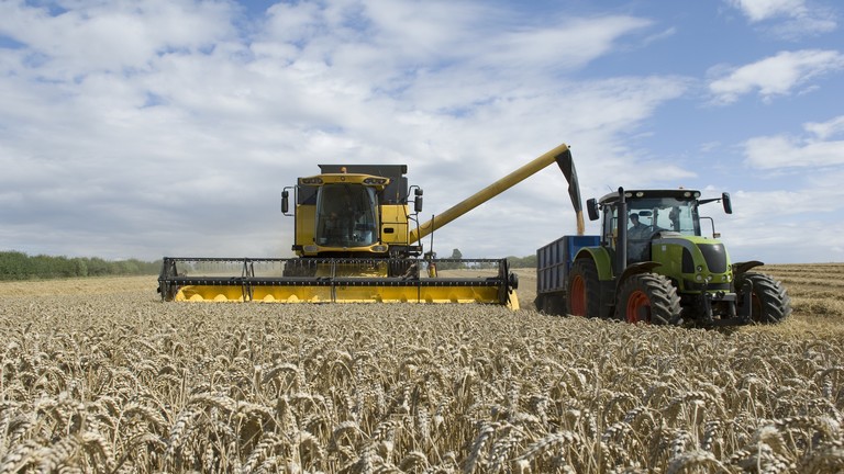 Az egekbe lökte a búza, kukorica árát az orosz-ukrán háború: veszélyben az aratás?