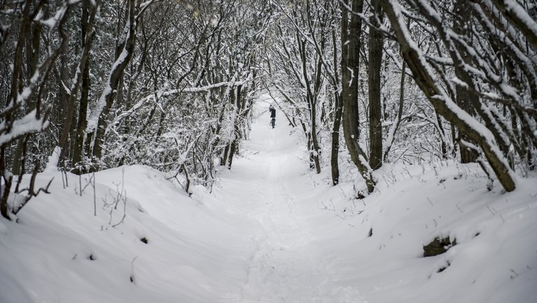 Jobb később, mint soha: napokon belül megérkezhet az igazi tél Magyarországra