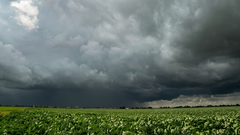 Óriási pusztítást végezhet az időjárás a földeken: így kerülhetik el a károkat a gazdák
