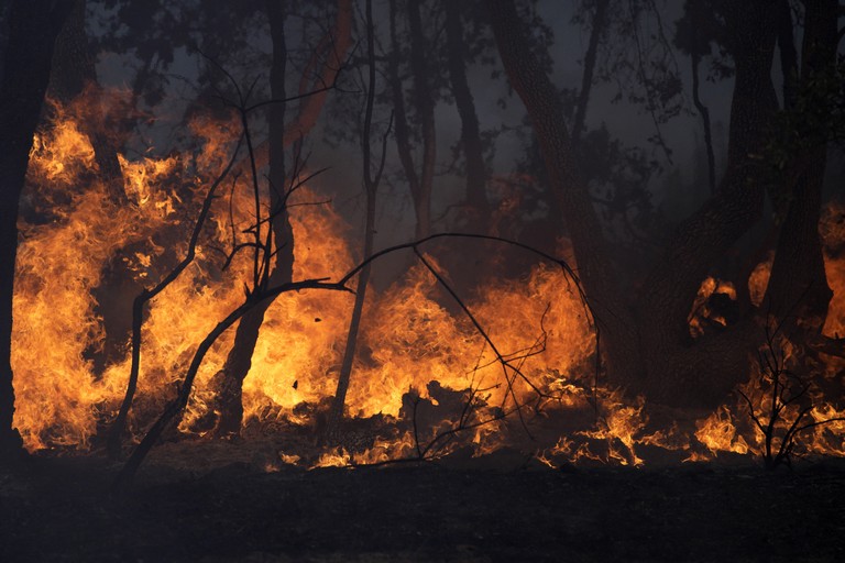 Pusztító tűz söpört végig a francia földeken: híres borászatok is súlyosan károsodtak