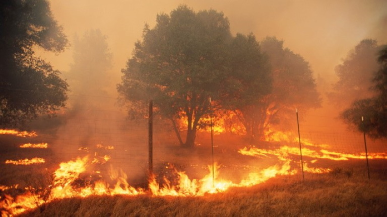 Brutális tüzek pusztítottak idén Európában: mutatjuk, mekkora területen tomboltak