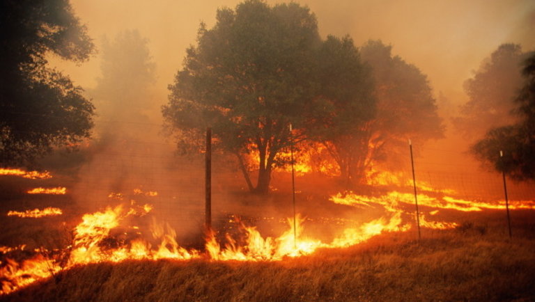 Félelmetes: Európát is elérte a kaliforniai erdőtüzek füstje
