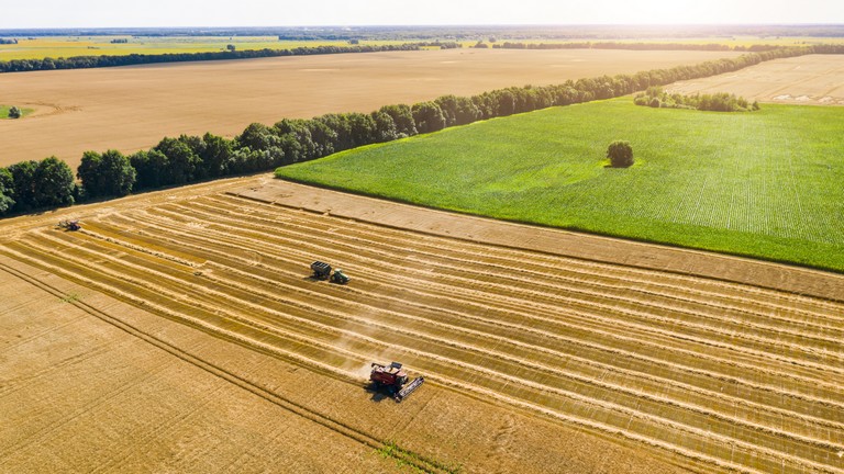 Agrárium 2022 konferencia: hogyan hat a magyar agrárgazdaságra az orosz-ukrán háború?
