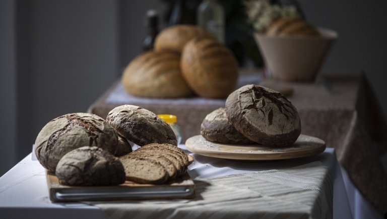 Eldőlt: megvannak Magyarország legjobb kenyerei