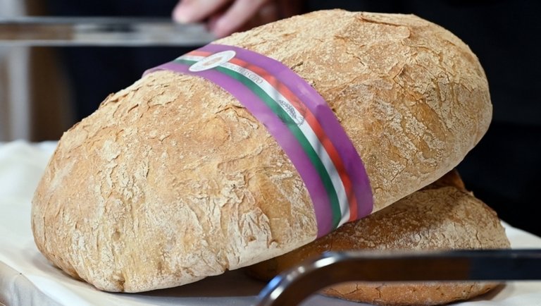 Megvannak a győztesek: ezek most a legjobb kenyerek Magyarországon