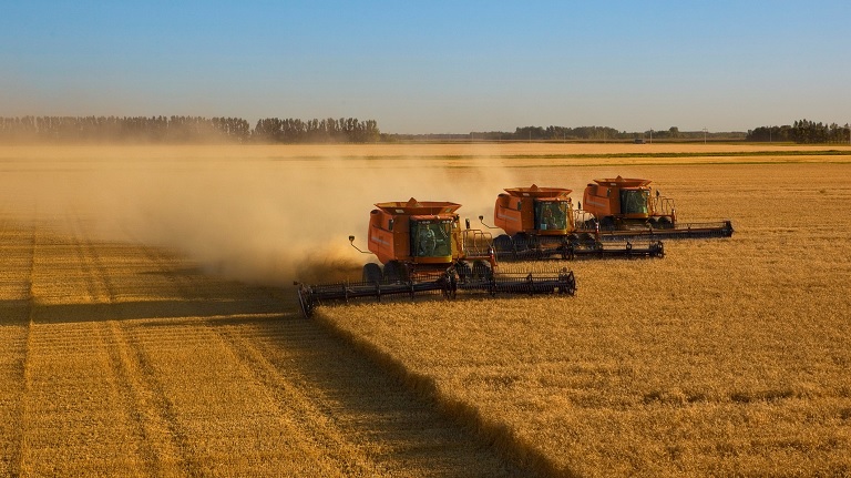 Sorsdöntő év következik? - Ilyenek a magyar agrárium kilátásai 2022-től