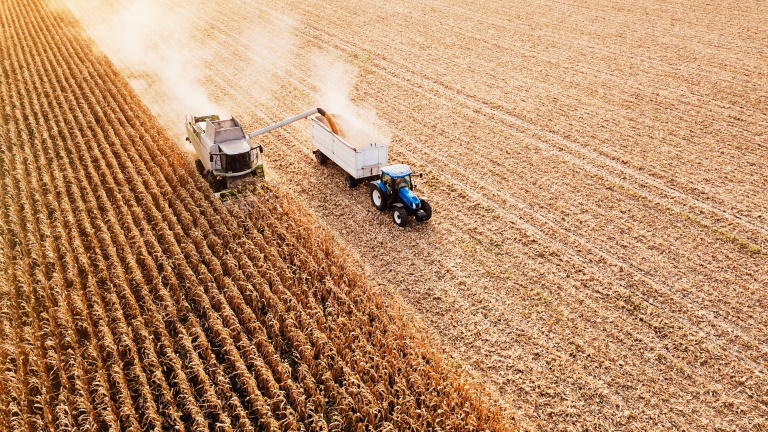 Javában zajlik az aratás Tolna megyében: kiderült, milyen hozamokra számítanak idén