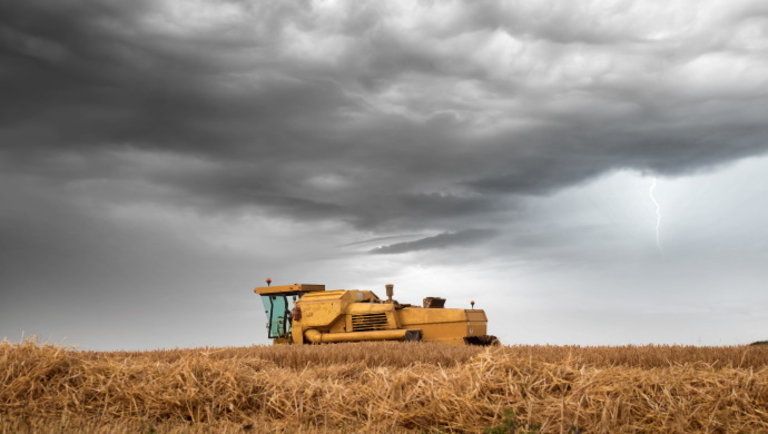 Bosszúsak a gazdák a keleti országrészben: csúnyán betett az időjárás az aratásnak