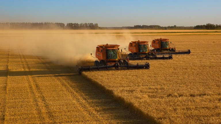 Lesújtó eredményekkel zárult az aratás Békésben: nem sok gazda örülhet