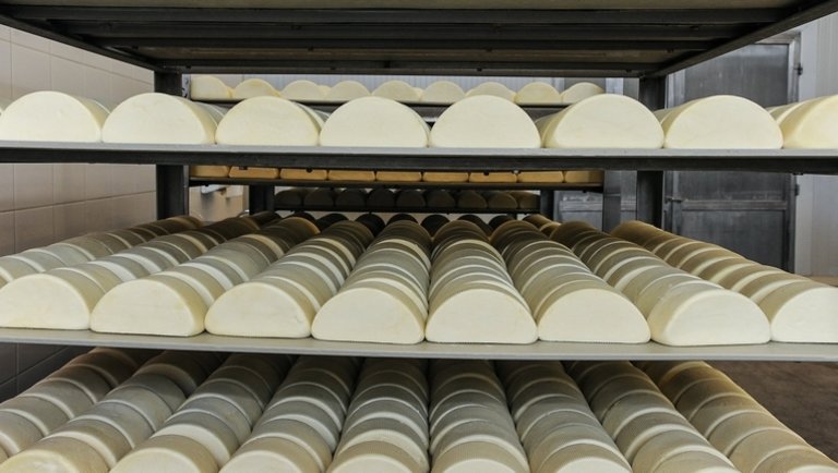 Milliárdos beruházás indul a Kőröstejnél: ezek a nagy sajtgyártó fejlesztési tervei