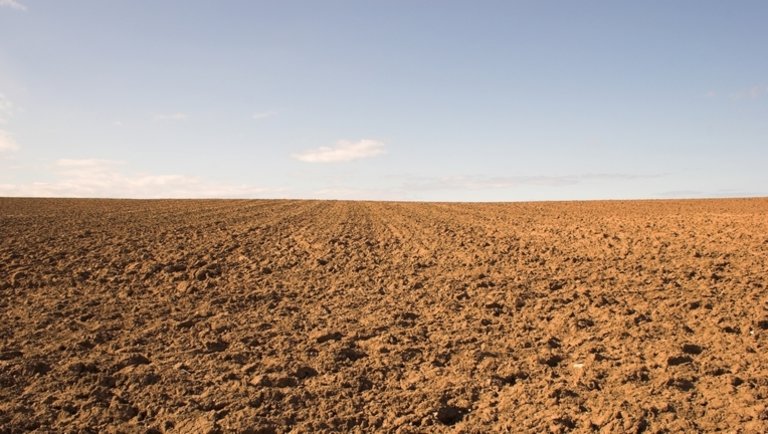 Nem kíméli a gazdákat az időjárás: kritikus a szárazság a magyar földeken