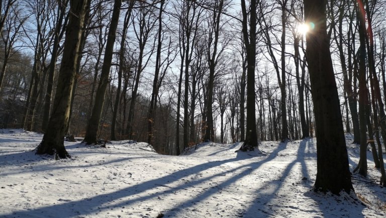 Kiderült, megérkezik-e még az igazi tél Magyarországra