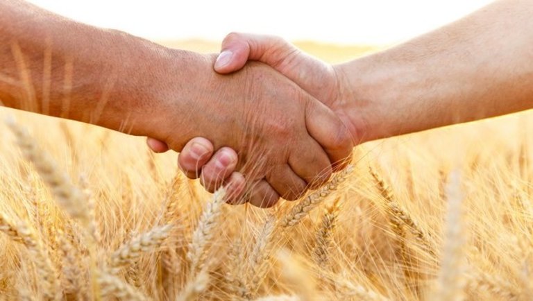 Új szintre léphet a magyar-orosz mezőgazdasági és élelmiszeripari együttműködés