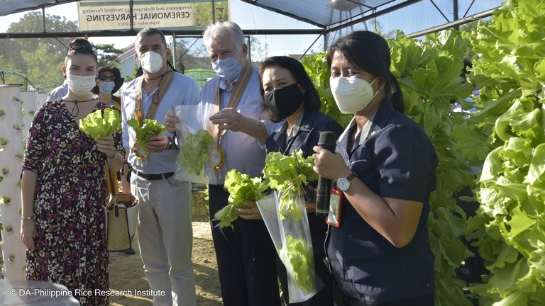 Letarolhatják a Fülöp-szigeteket a magyar zöldségek: így áraszthatnak el mindent