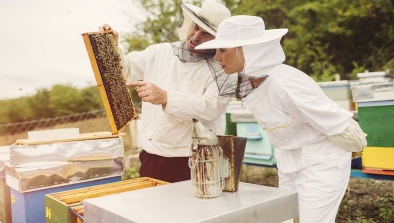 Koronavírus: ebben az országban a méhészet lehet a járvány legnagyobb nyertese
