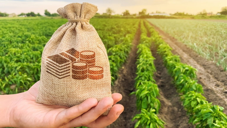 Közel 10 milliárd forint támogatást kap a kormánytól az Agrárkamara