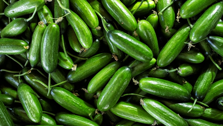 Egyre többen veszik ezt a zöldséget Európában: ezért ilyen népszerű