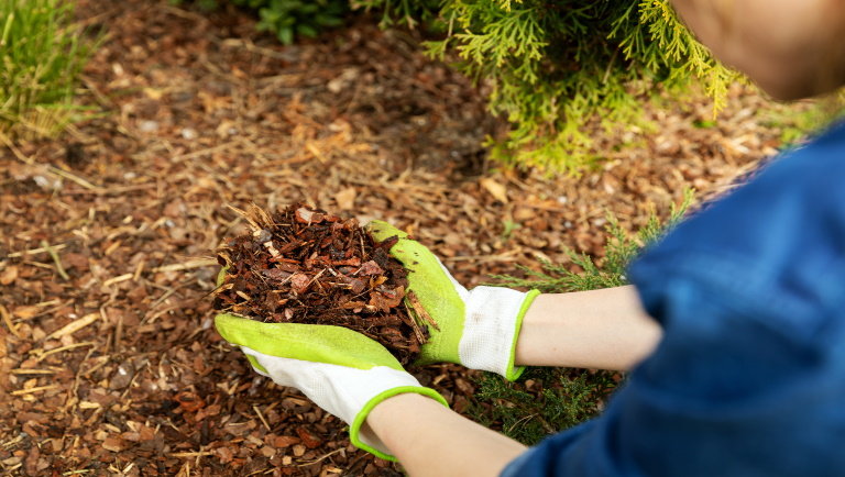 Tuti tippek a kerti munkákhoz: így használják fel a profik az őszi avart