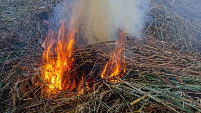 Több száz hektár nádas égett le a Hortobágyon: óriási a kár