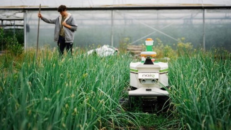 Nem kell tovább várni: eljött az éjjel-nappal dolgozó mezőgazdasági robotok kora