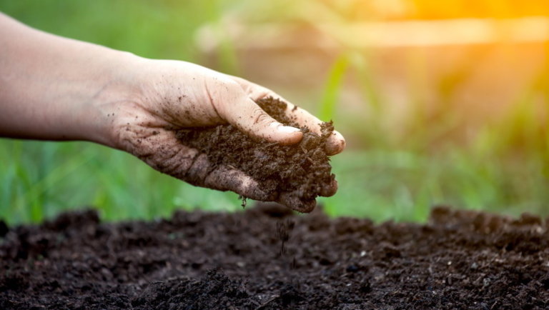 Növénytermesztés öntözés nélkül: itt a a talaj, aminek még locsolásra sincs szüksége