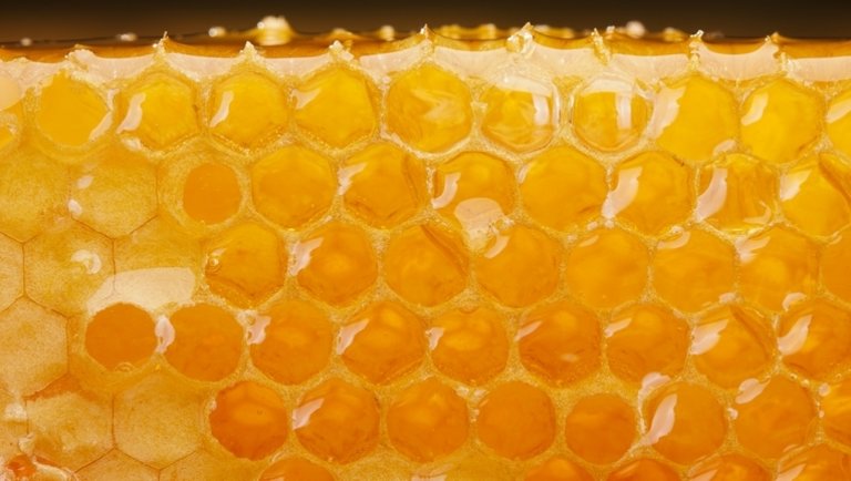 Csőd szélére kerülhetnek a hazai méhészek: már senki nem veszi a magyar mézet