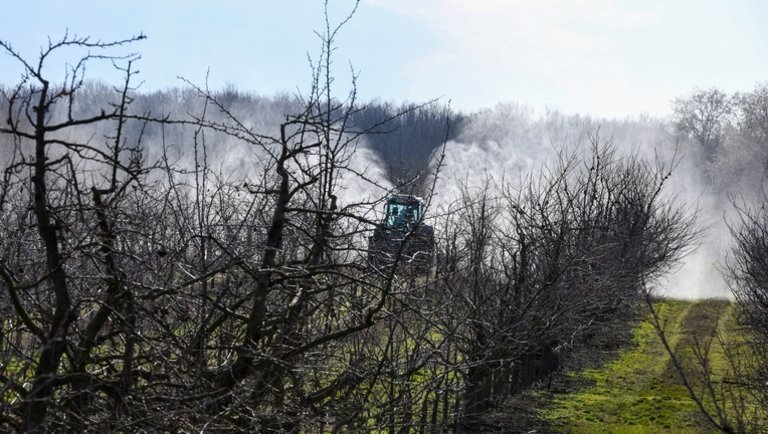 Veszélyben a magyar gyümölcsösök? Sokba fog kerülni idén a növényvédelem