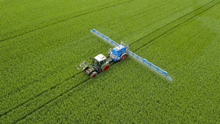 Megdöbbentő számok: nem veszik a növényvédő szereket a magyar gazdák