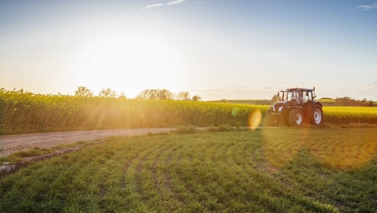 Megszólaltak az agrárium nagyágyúi: kemény év elé néz a magyar mezőgazdaság